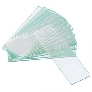 Tárgylemez ( Superfrost )